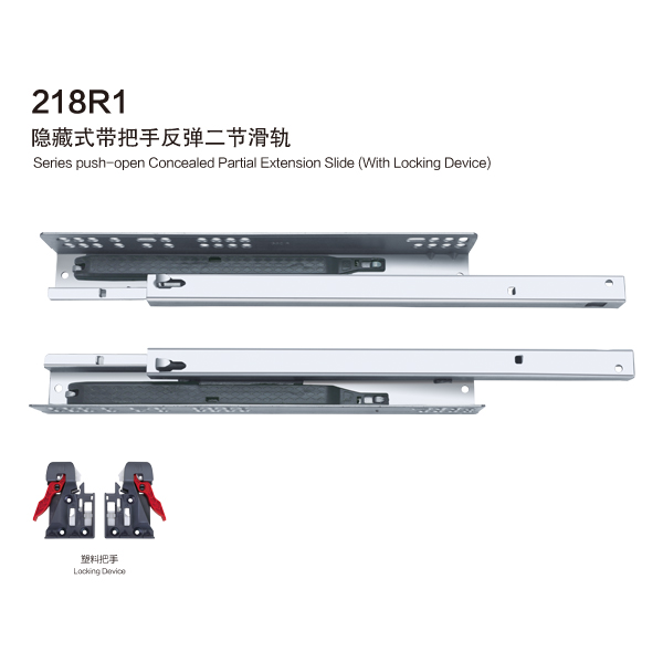 218R1