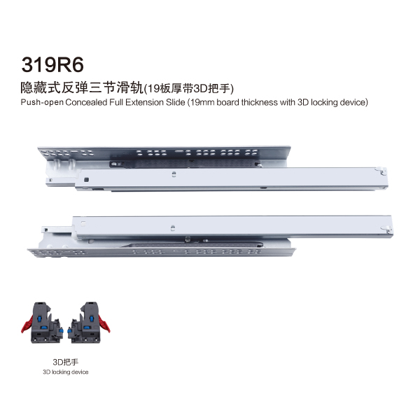 319R6